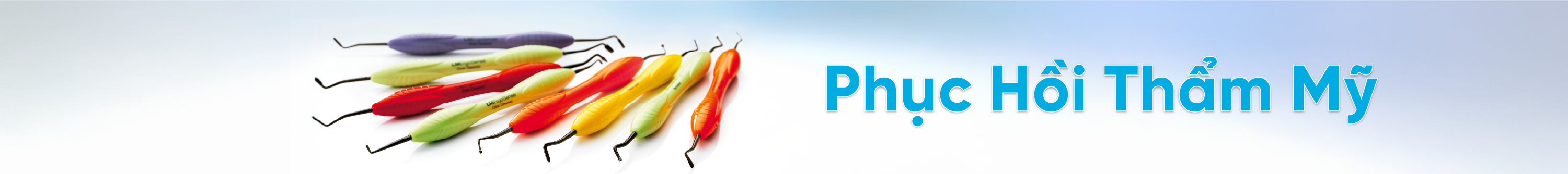 Dụng cụ phục hồi