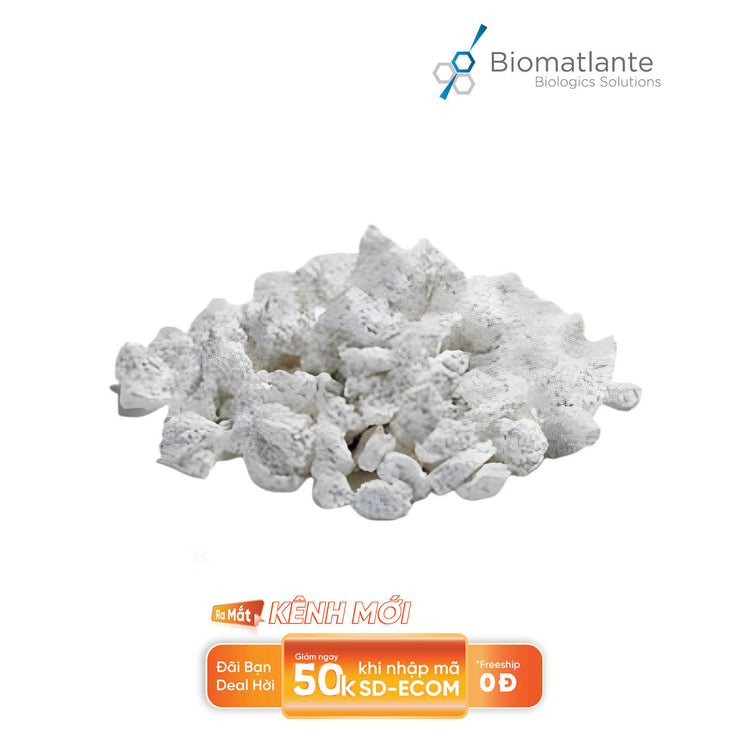 Bột xương nhân tạo MBCP+™ Biomatlante